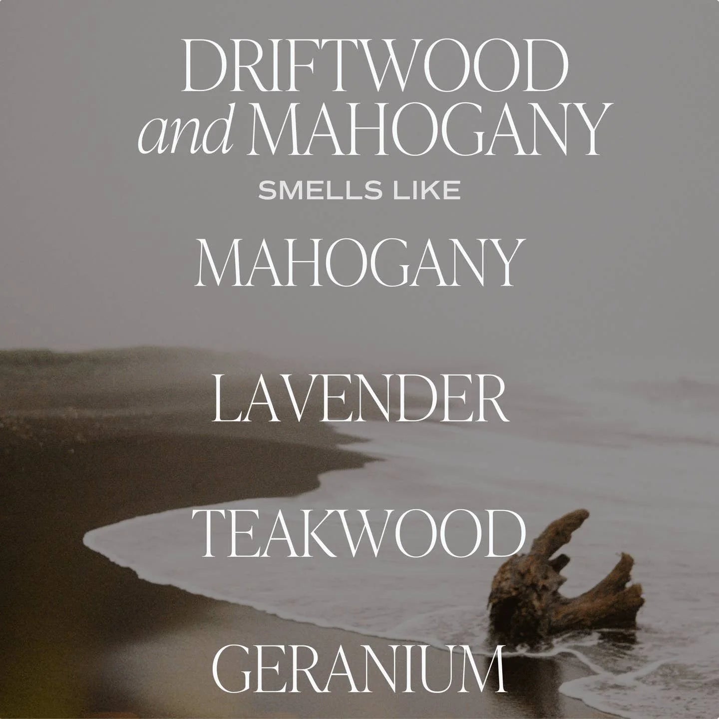 Driftwood and Mahogany Candle - image 2