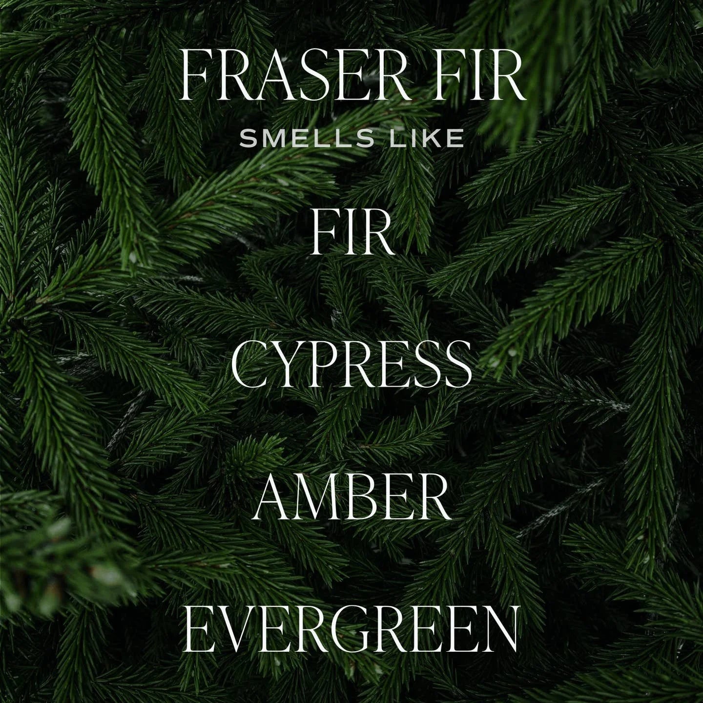 Fraser Fir Candle - image 3