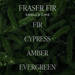 Fraser Fir Candle - image 3