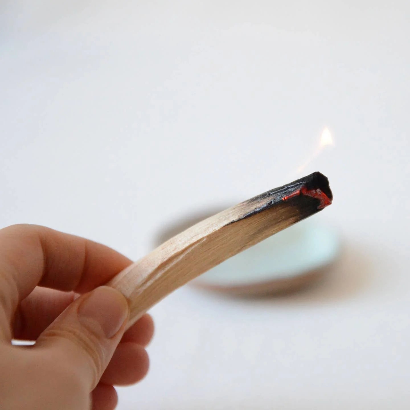 Palo Santo - image 2