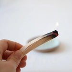 Palo Santo - image 2