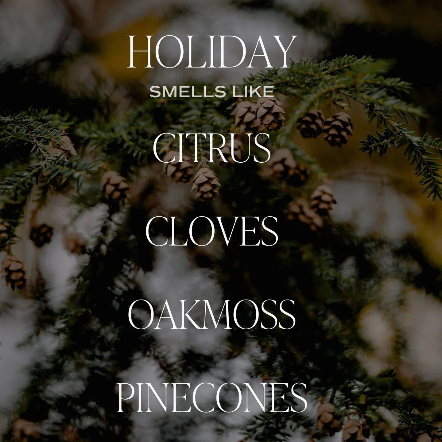 Holiday Candle - image 3